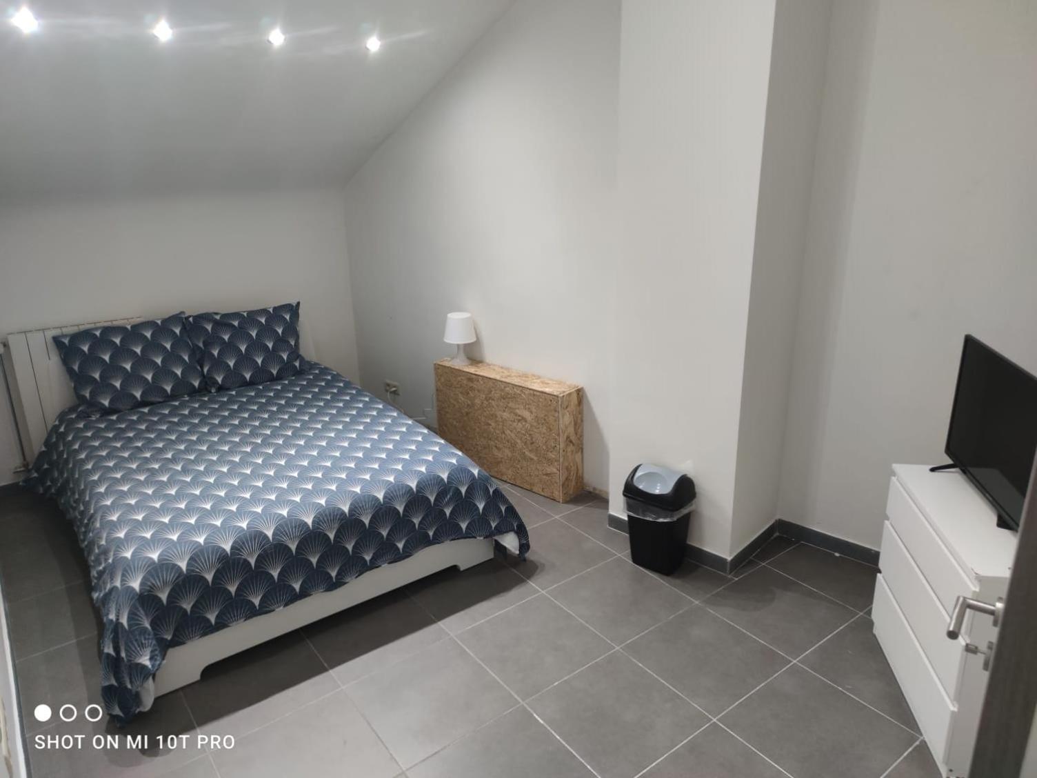 Belle Villa De Luxe Avec 8 Chambres Charleroi Eksteriør billede